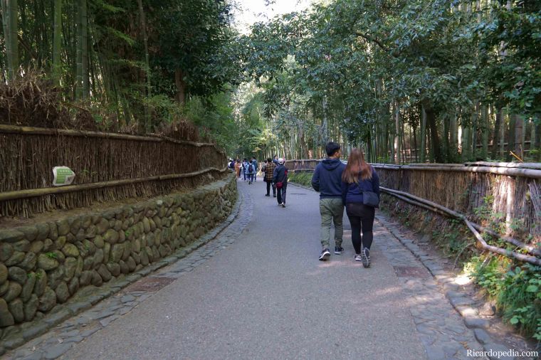 Japan Kyoto Arashiyama Bamboo Grove