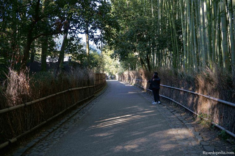 Japan Kyoto Arashiyama Bamboo Grove