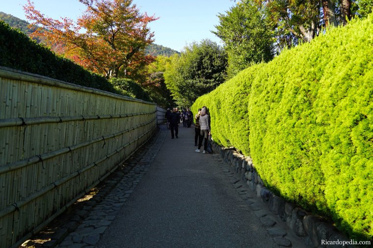 Japan Kyoto Arashiyama Bamboo Grove