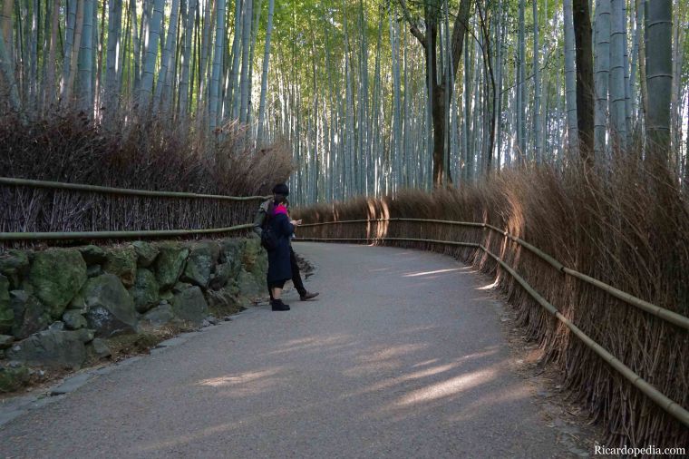 Japan Kyoto Arashiyama Bamboo Grove