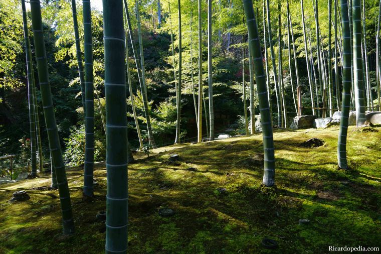 Japan Kyoto Arashiyama Jojakkoji Temple