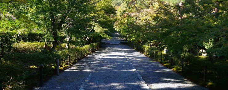 Japan Kyoto Nisonin Temple