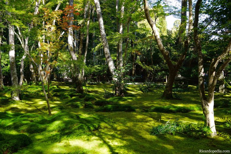 Japan Kyoto Gioji Temple