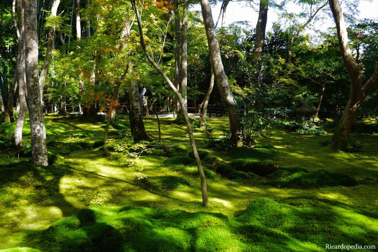 Japan Kyoto Gioji Temple