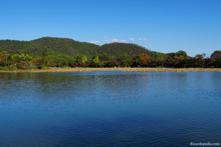 Japan Kyoto Daikakuji Temple