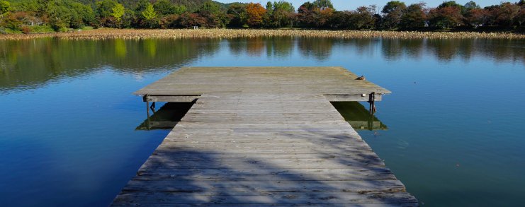 Japan Kyoto Daikakuji Temple