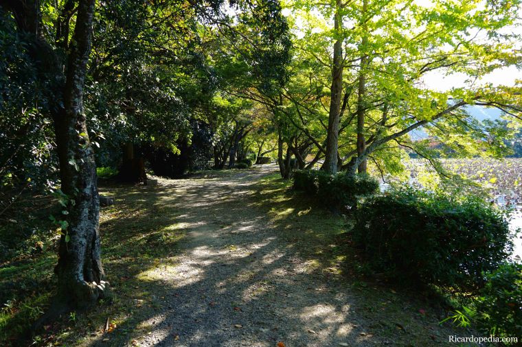 Japan Kyoto Daikakuji Temple