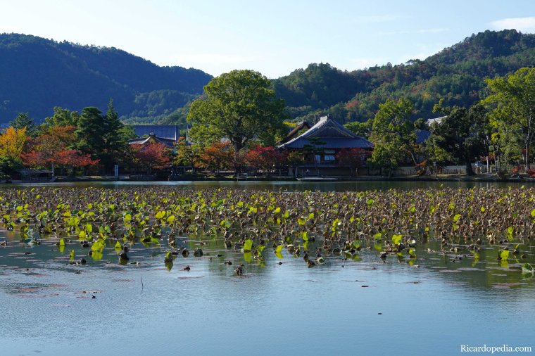 Japan Kyoto Daikakuji Temple