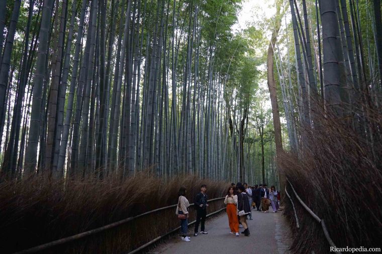 Japan Kyoto Arashiyama