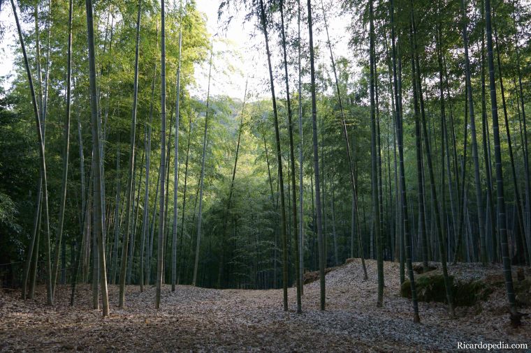 Japan Kyoto Fushimi Inari Shrine