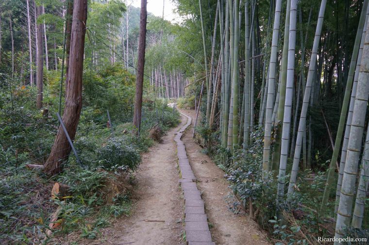 Japan Kyoto Fushimi Inari Shrine