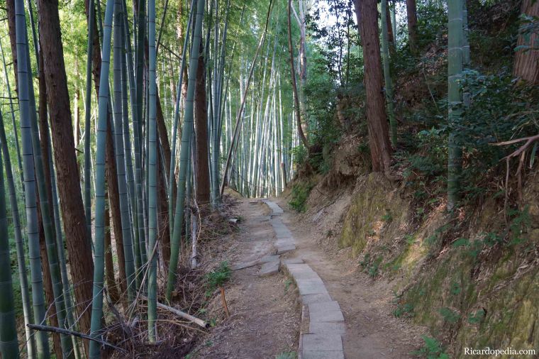 Japan Kyoto Fushimi Inari Shrine