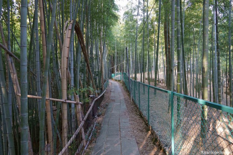 Japan Kyoto Fushimi Inari Shrine