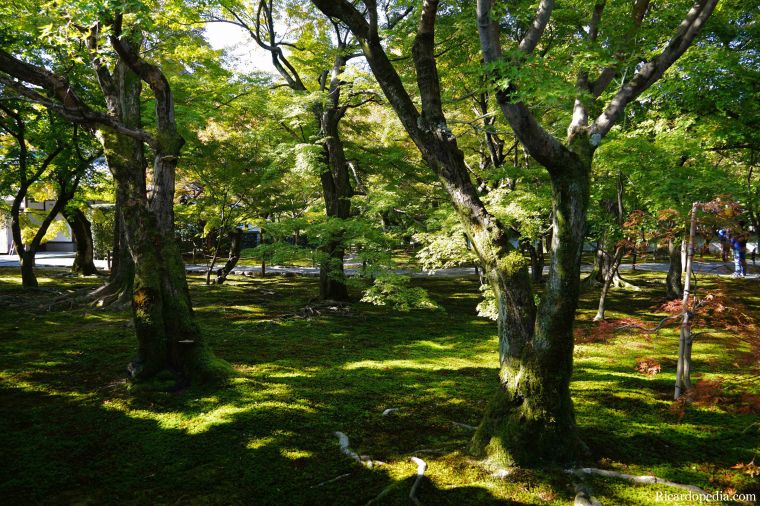 Japan Kyoto Tofukuji Temple