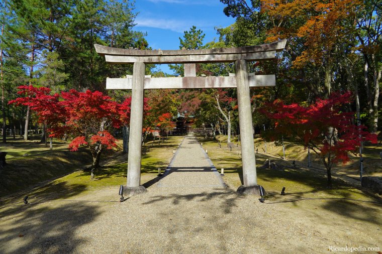 Japan Kyoto Ninnaji Temple
