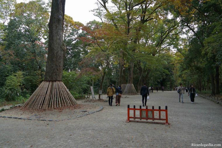 Japan Kyoto Kawai-jinja Shrine