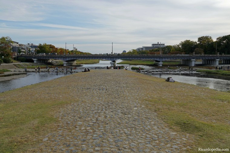 Japan Kyoto Turtle Stepping Stones