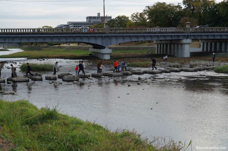 Japan Kyoto Turtle Stepping Stones