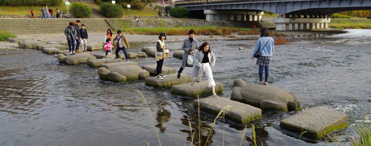 Japan Kyoto Turtle Stepping Stones