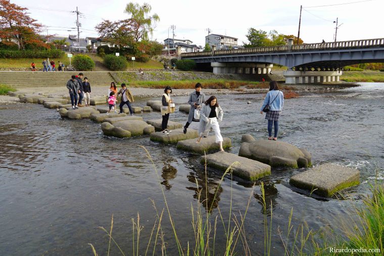 Japan Kyoto Turtle Stepping Stones