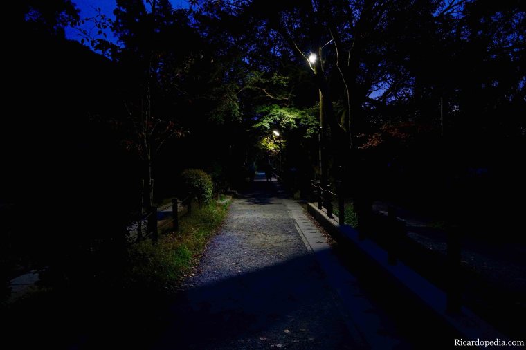 Japan Kyoto Philosopher's Path