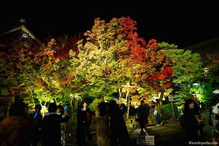 Japan Kyoto Eikando Temple