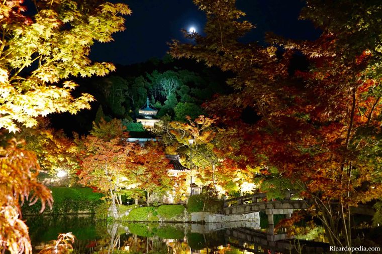 Japan Kyoto Eikando Temple