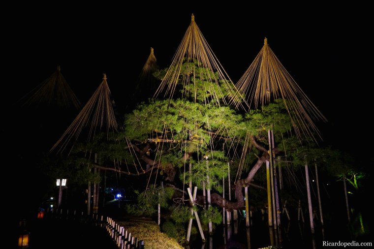 Japan Kanazawa Kenrokuen Garden Night