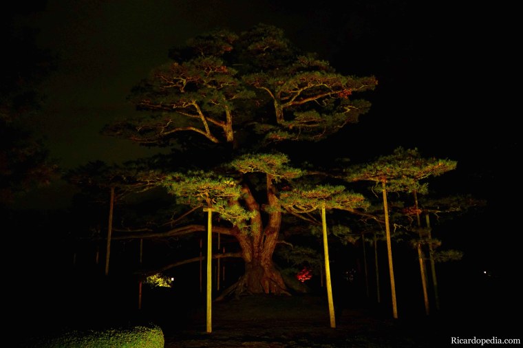 Japan Kanazawa Kenrokuen Garden Night