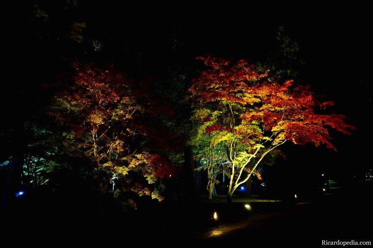 Japan Kanazawa Kenrokuen Garden Night