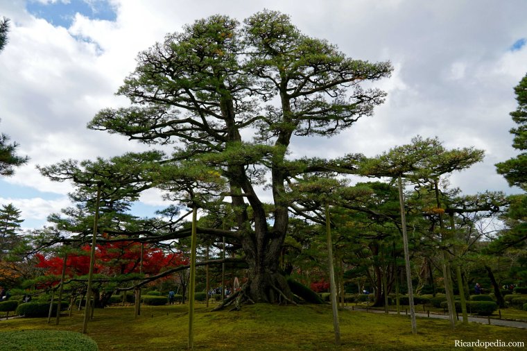 Japan Kanazawa Kenrokuen Garden