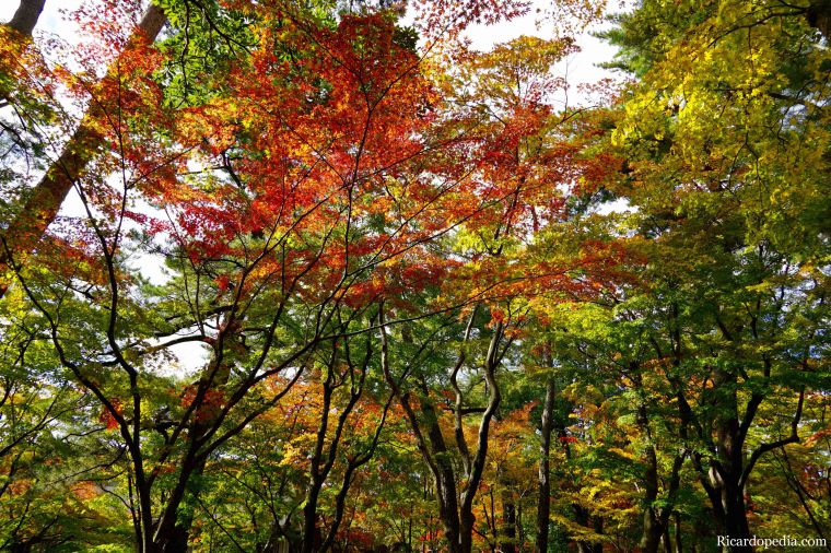 Japan Kanazawa Kenrokuen Garden