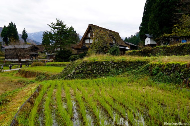 Japan Shirakawago Ainokura Village