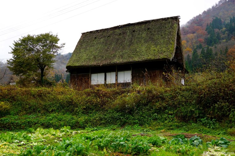 Japan Shirakawago Ainokura Village