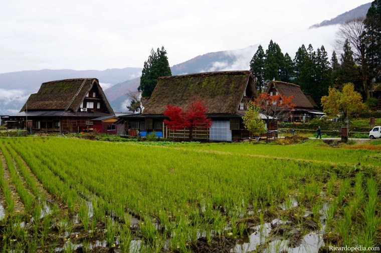 Japan Shirakawago Ainokura Village