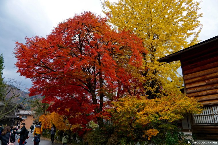 Japan Shirakawago Ogimachi Village