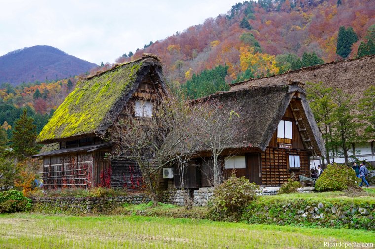 Japan Shirakawago Ogimachi Village