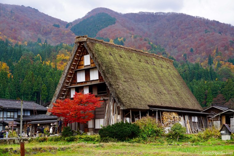 Japan Shirakawago Ogimachi Village