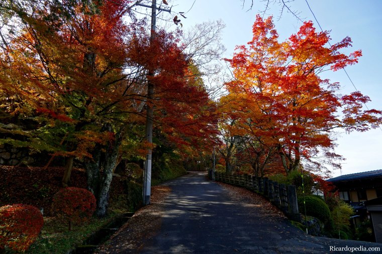 Japan Takayama Castle Ruins