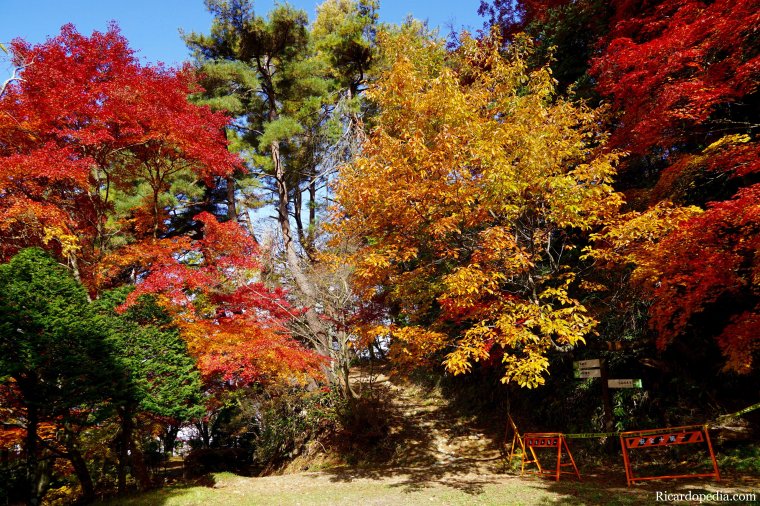 Japan Takayama Castle Ruins