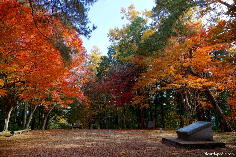 Japan Takayama Castle Ruins