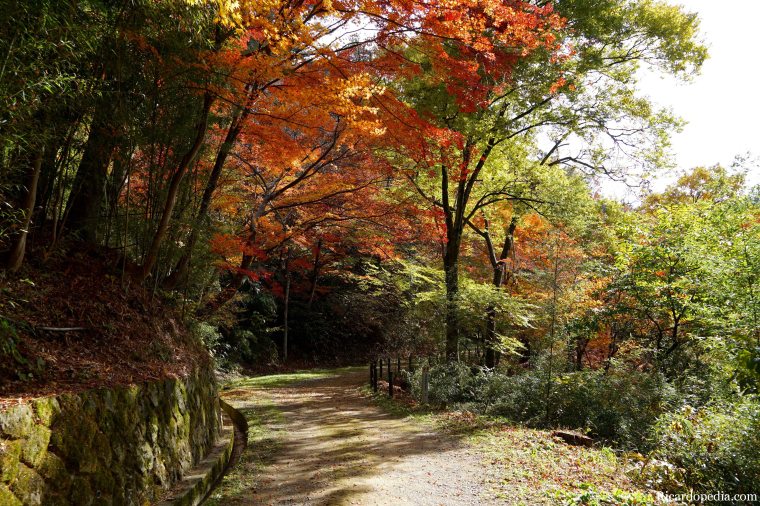 Japan Takayama Castle Ruins