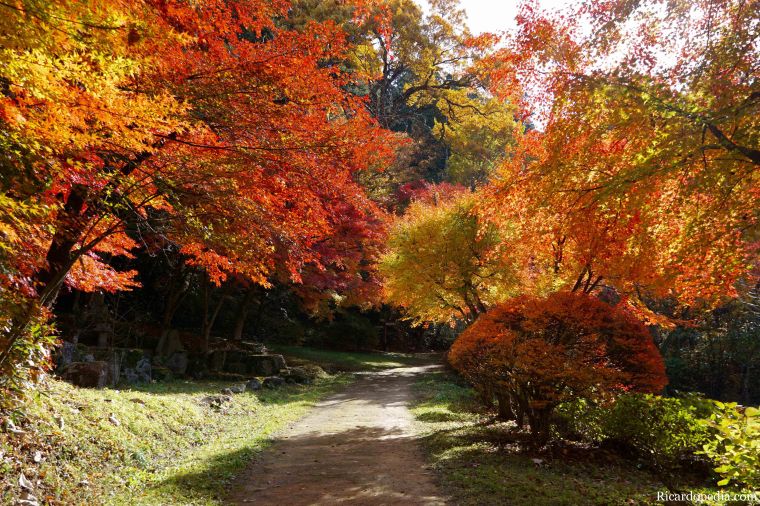 Japan Takayama Castle Ruins