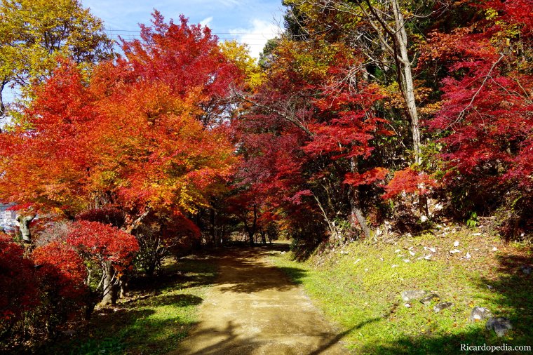 Japan Takayama Castle Ruins