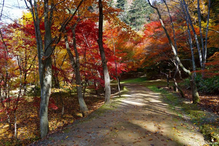 Japan Takayama Castle Ruins