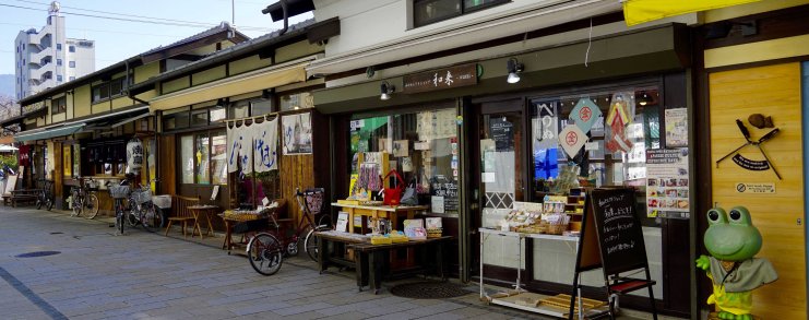 Japan Matsumoto Frog Street