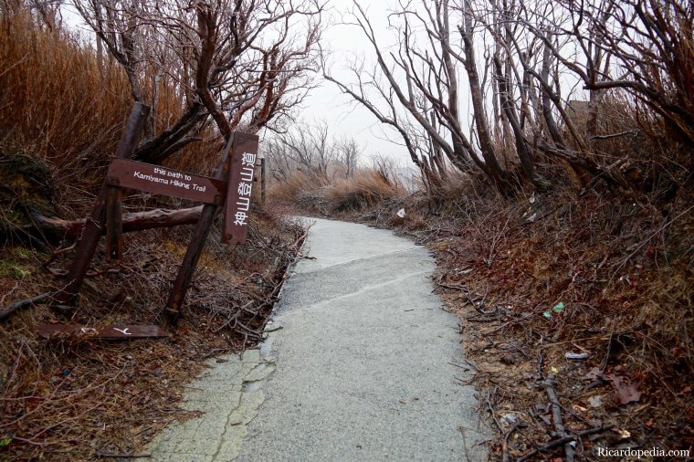 Japan Hakone Owakudani