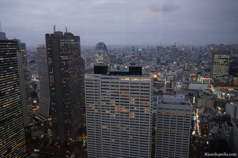 Japan Tokyo Metropolitan Government Building