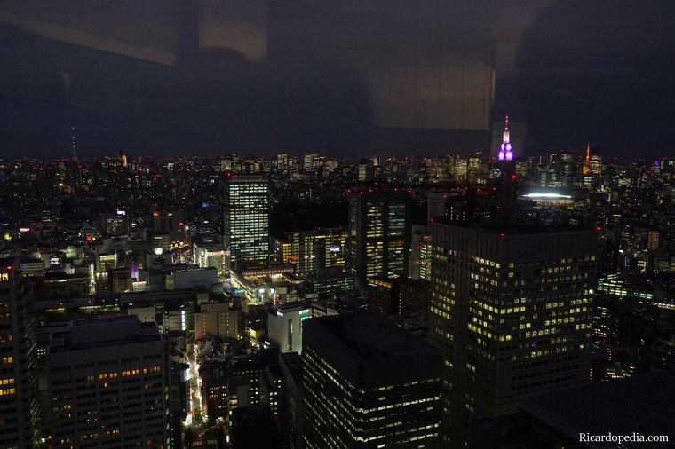 Japan Tokyo Metropolitan Government Building