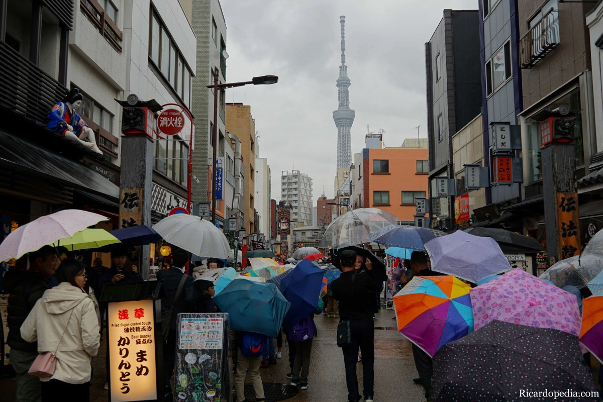 temperature in tokyo in november